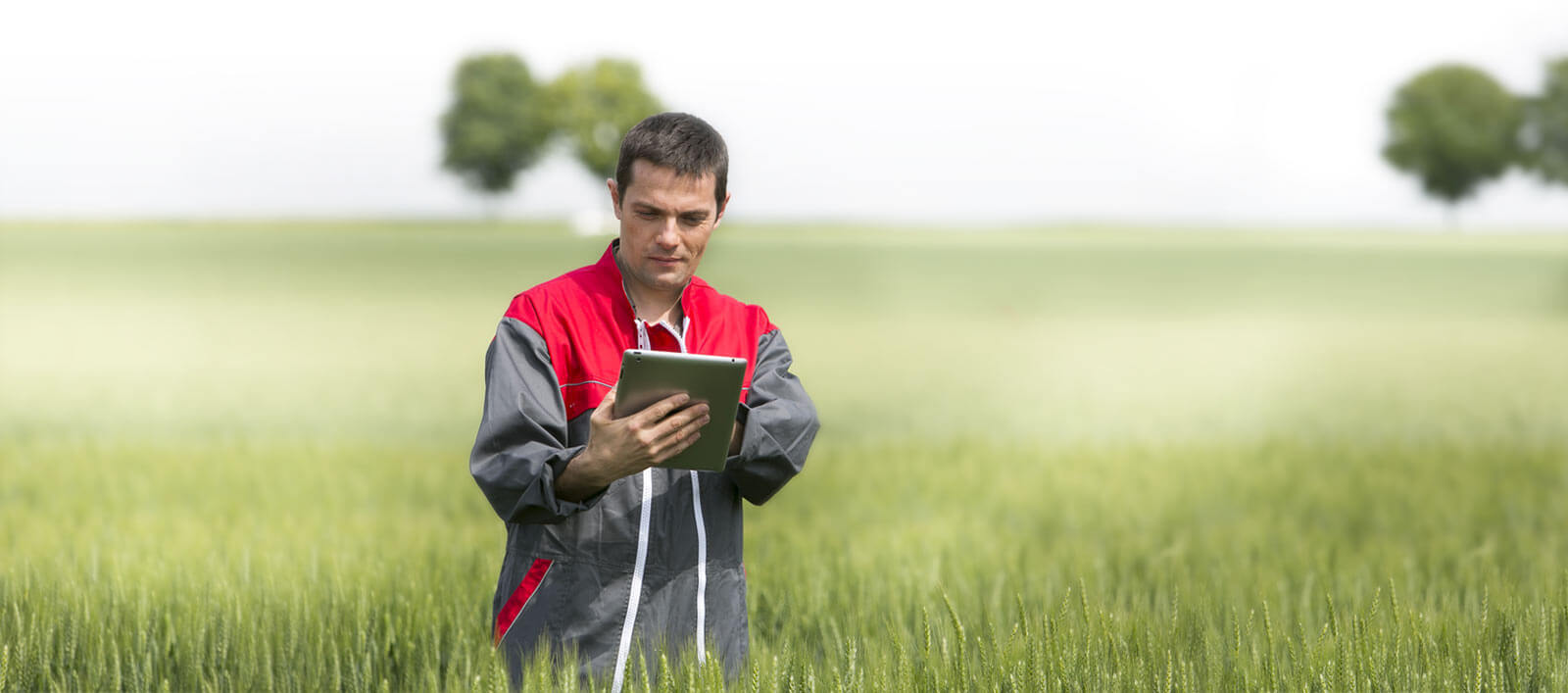 Msa Devenir Agriculteur S Installer Comme Chef D Exploitation Ou D Entreprise Agricole